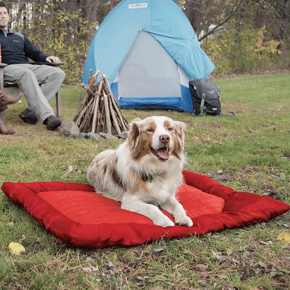 From Backyard Hangouts to Serious Adventures, These Dog Camping Beds Will Make Any Trip Better